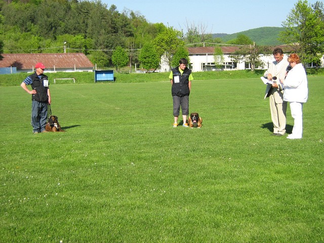 www.atibox.net * www.euroboxer.eu * www.boxergenealogia.eu